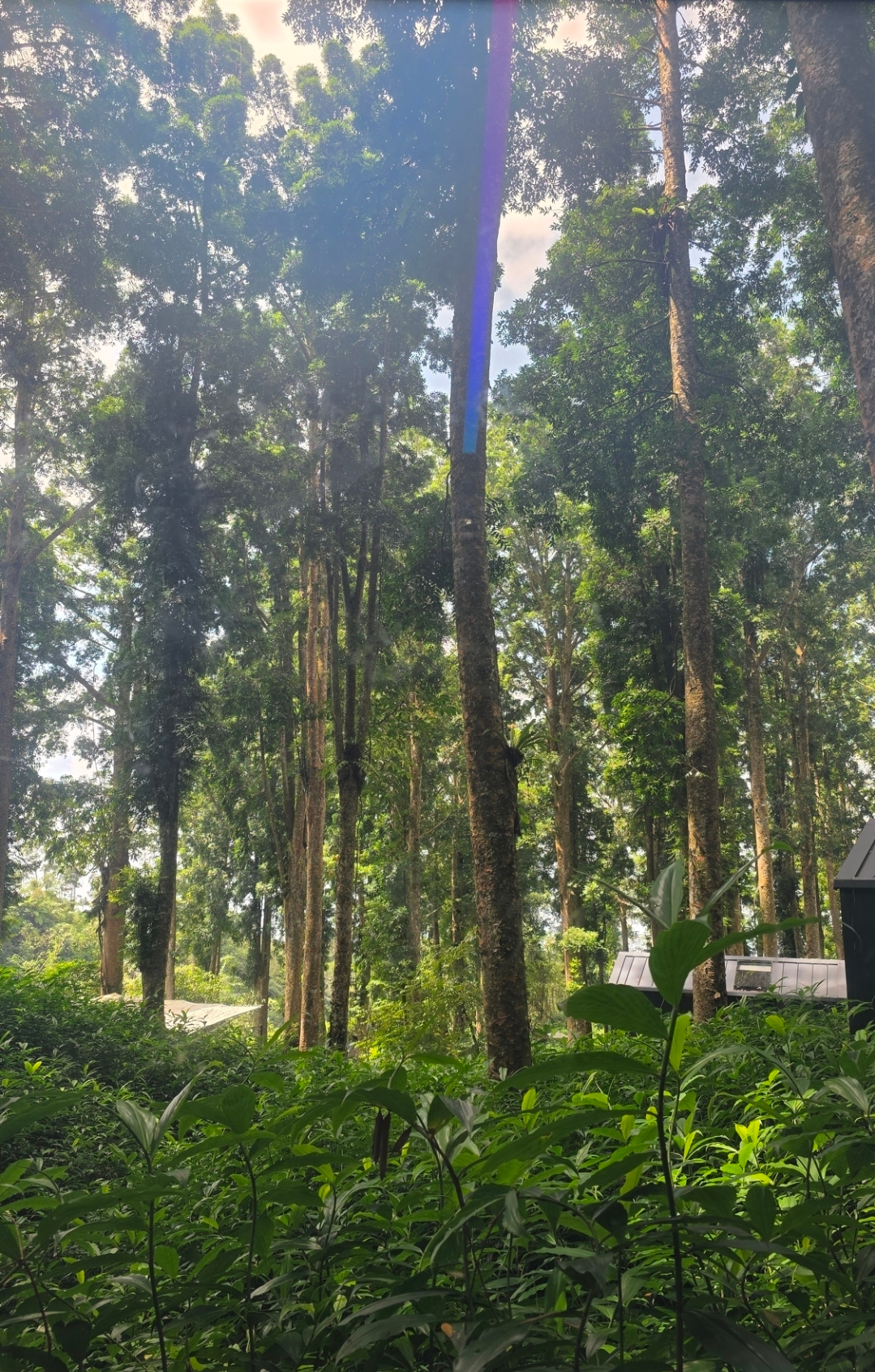 userImage-18