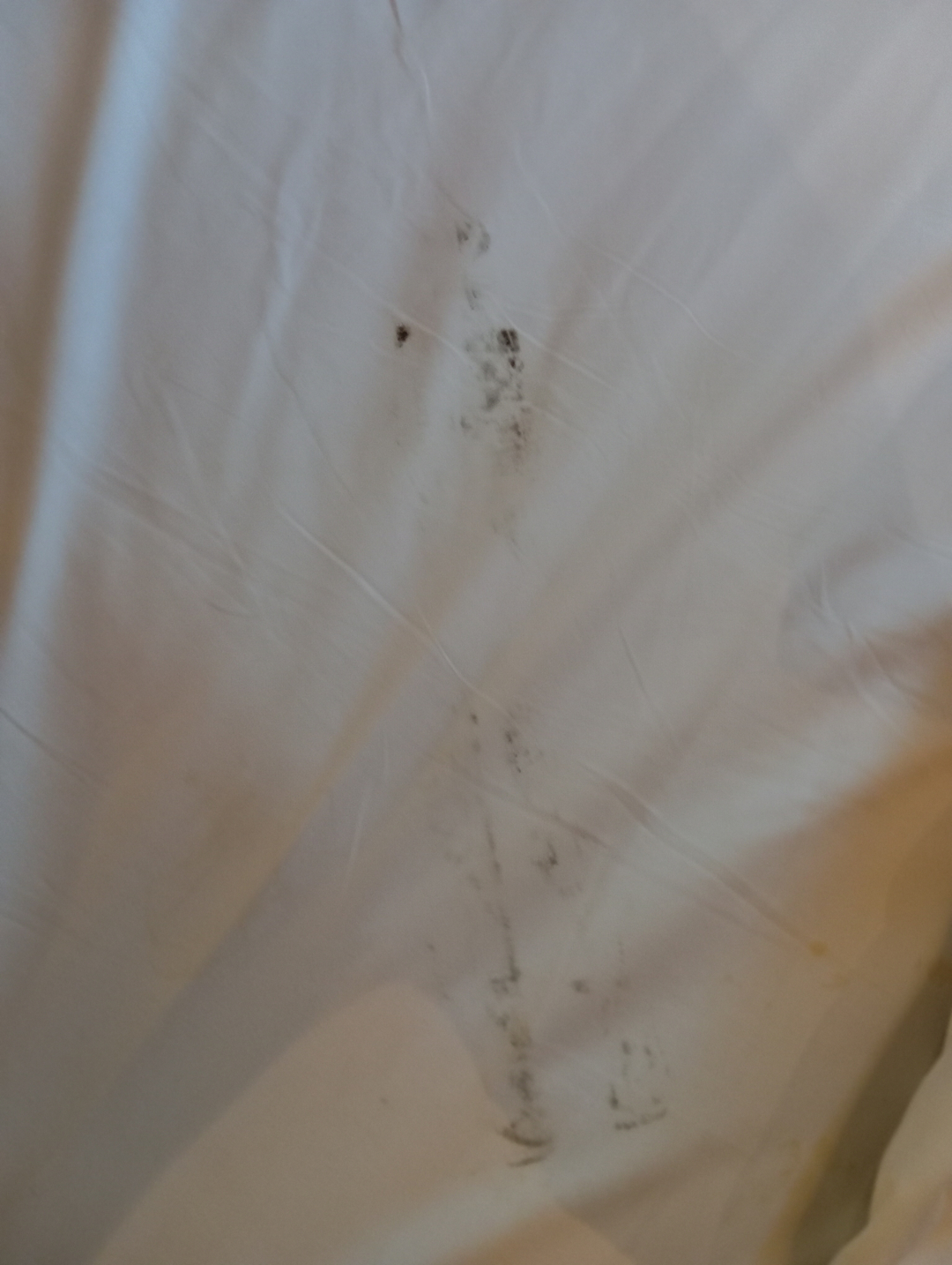 userImage-13