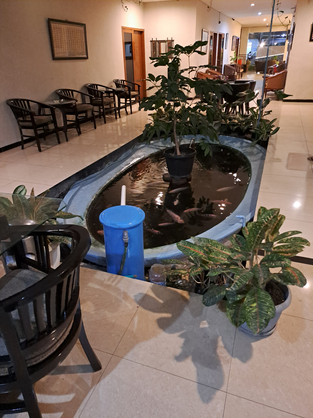 userImage-12