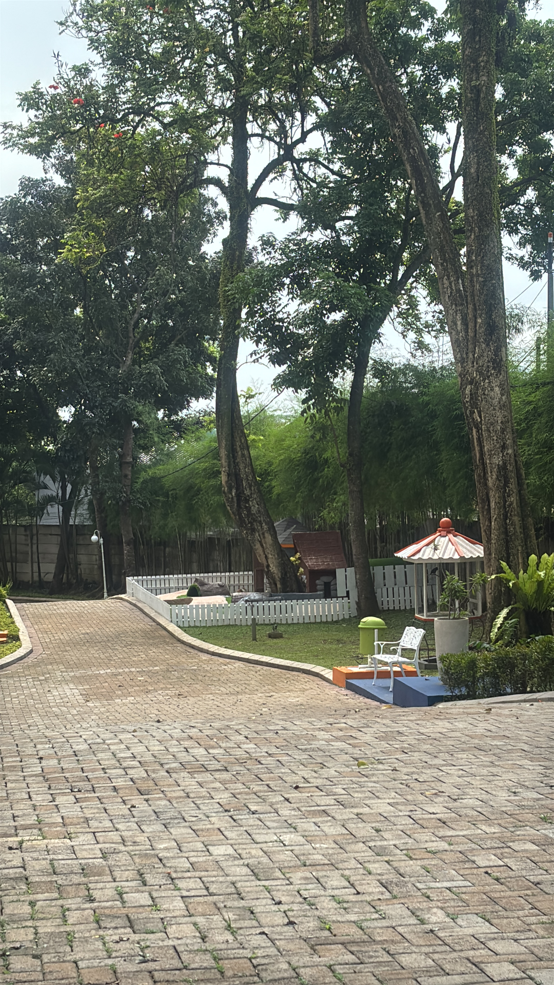 userImage-14