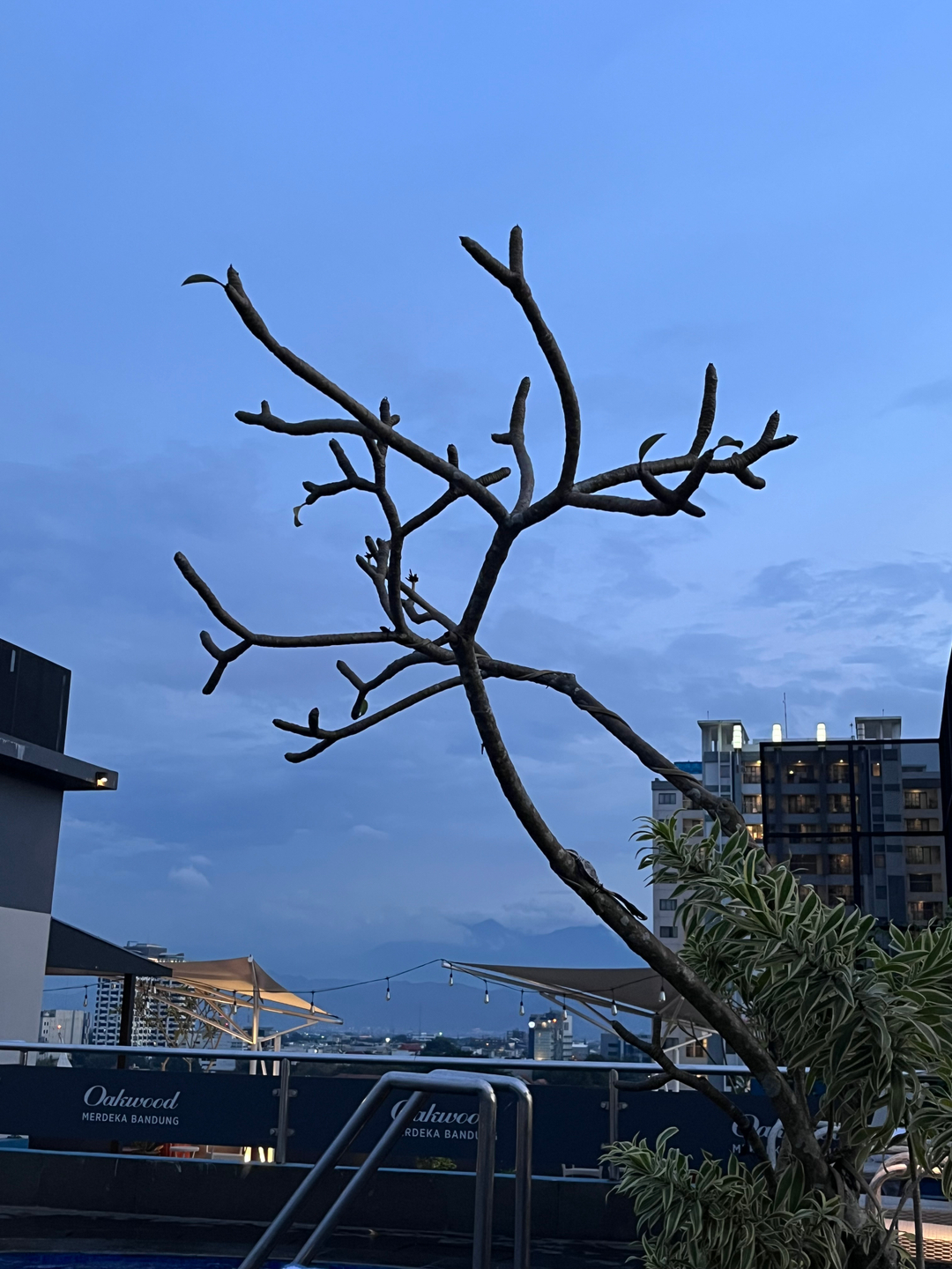 userImage-9