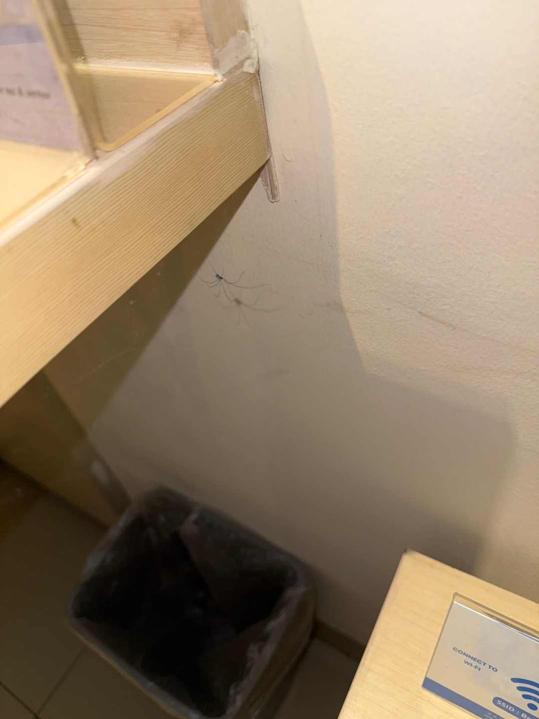 userImage-13