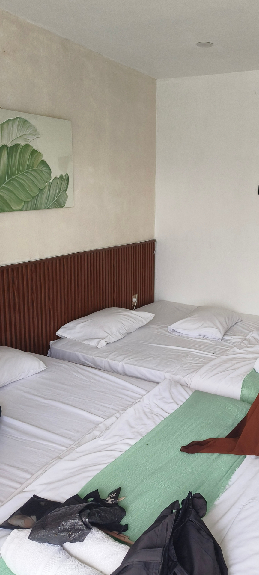 userImage-2