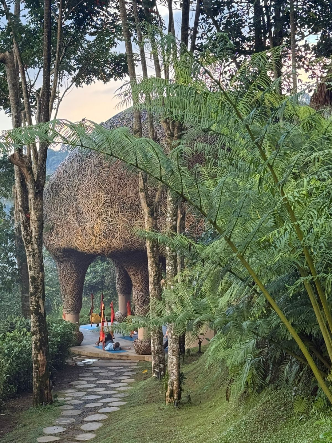 userImage-1