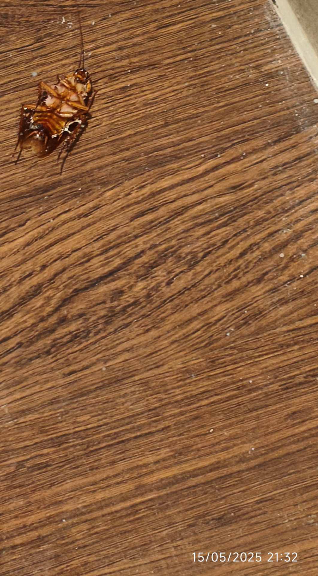 userImage-16