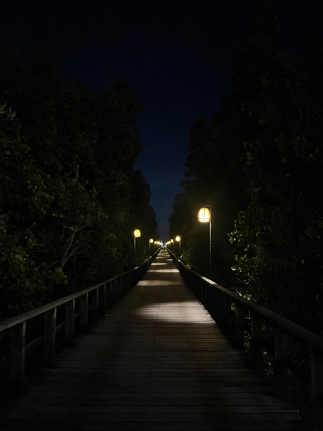 userImage-14