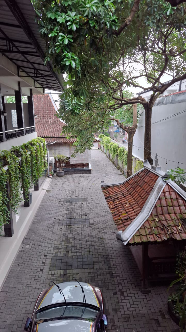 userImage-1