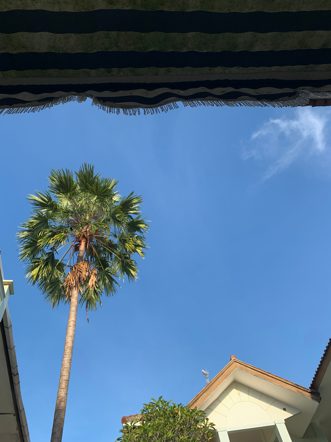 userImage-10