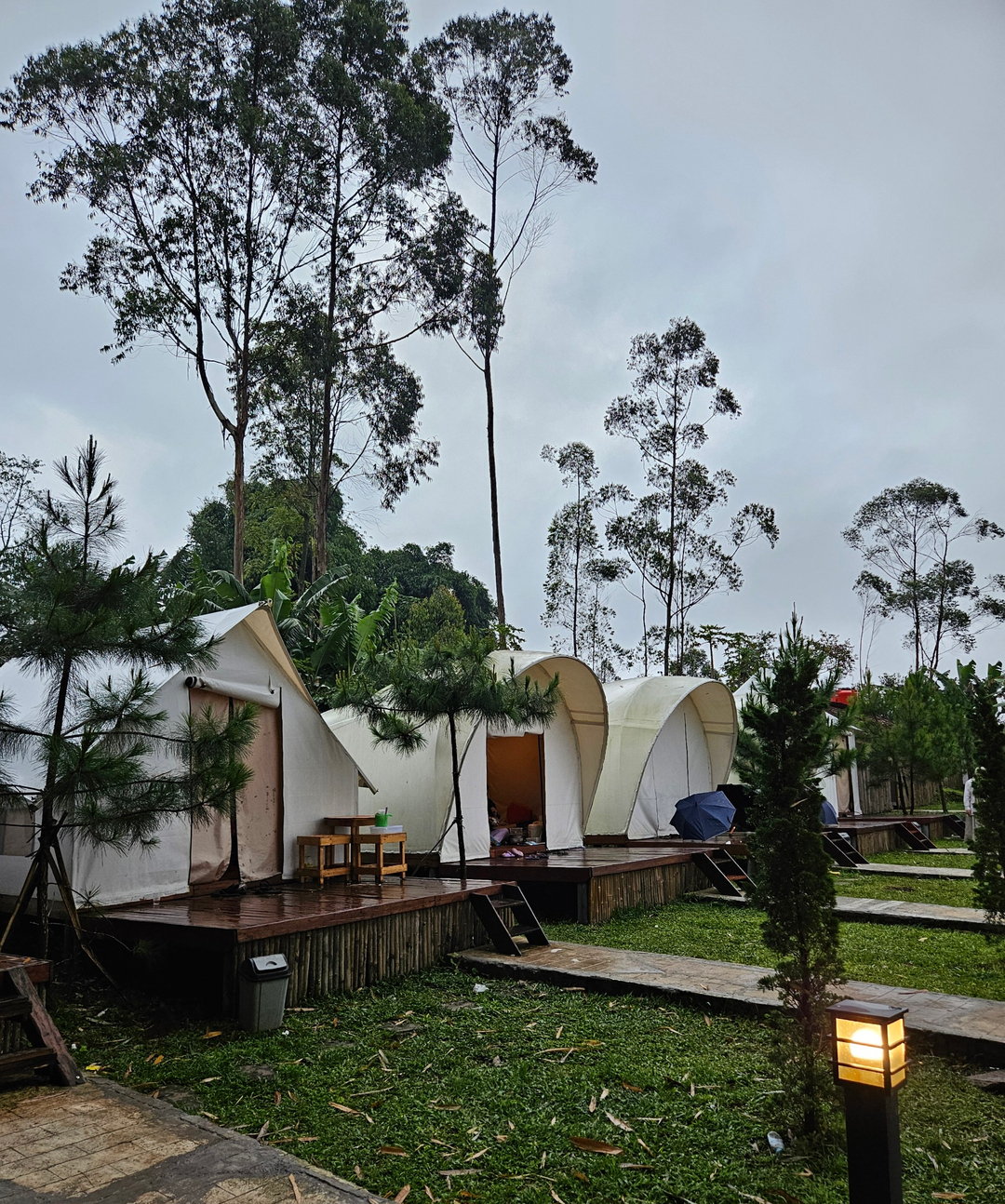 userImage-2