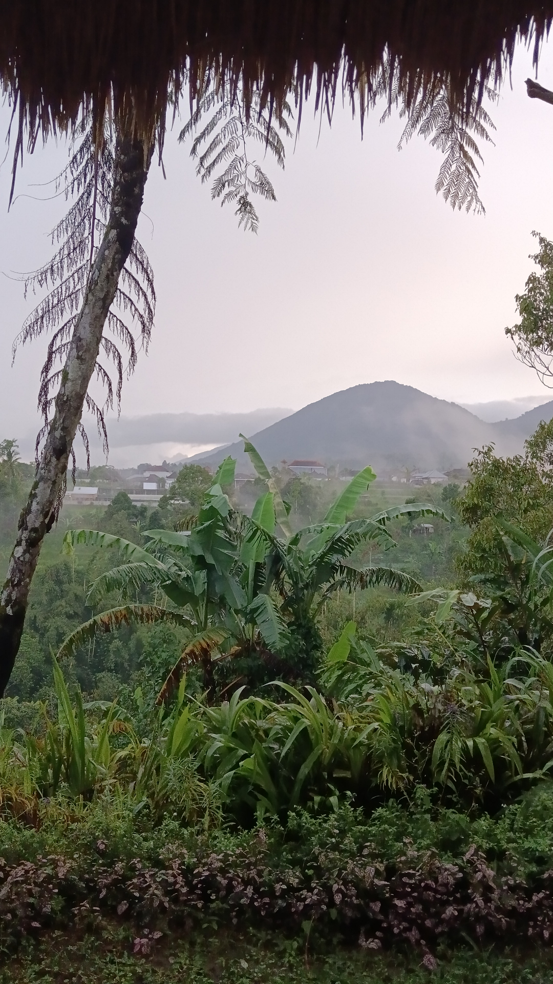 userImage-4