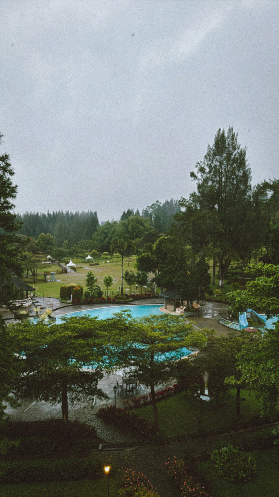 userImage-1
