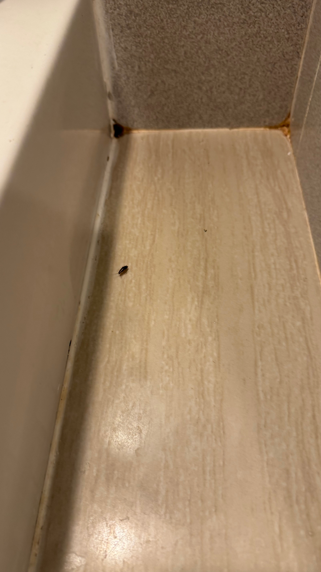 userImage-8
