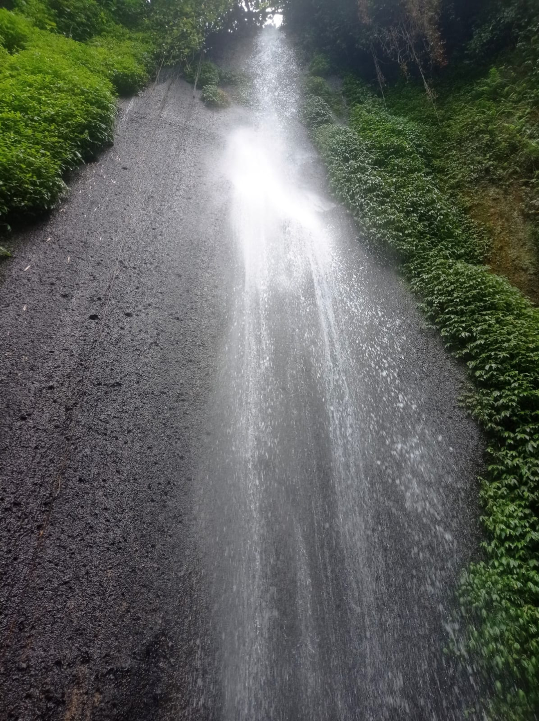 userImage-17
