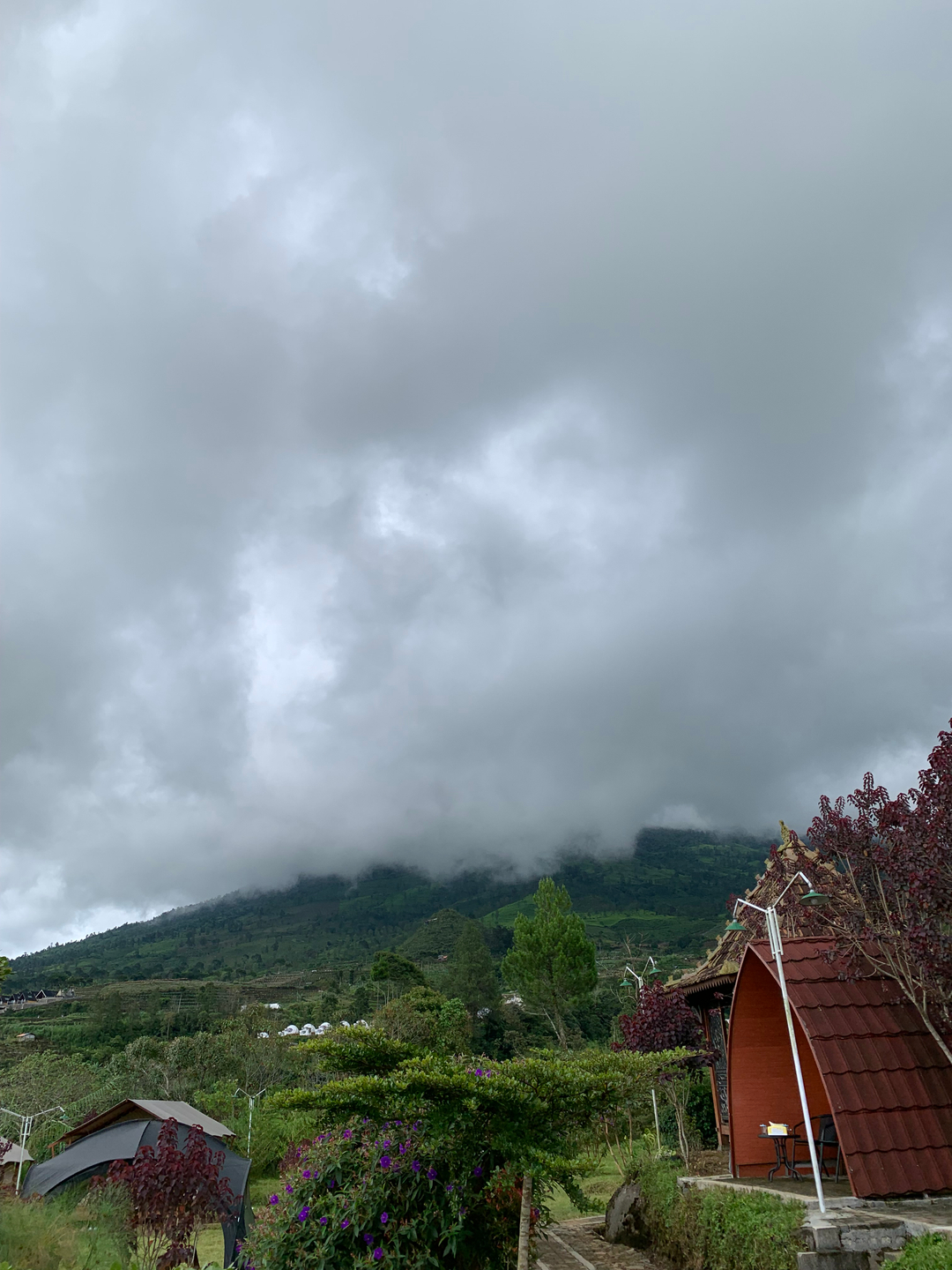 userImage-19
