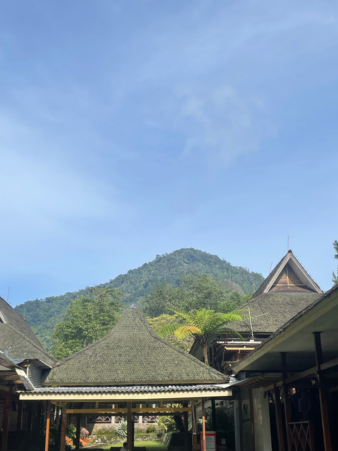 userImage-12