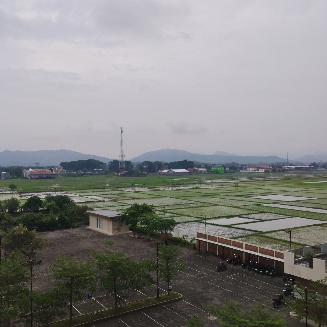 userImage-7