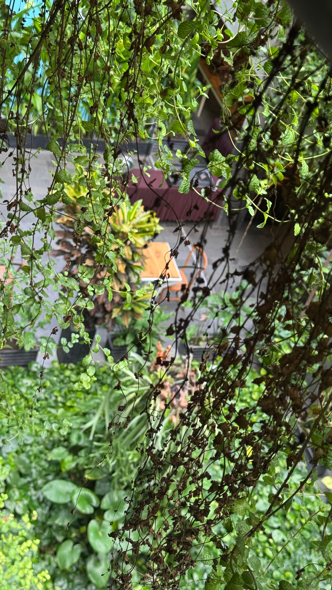 userImage-3