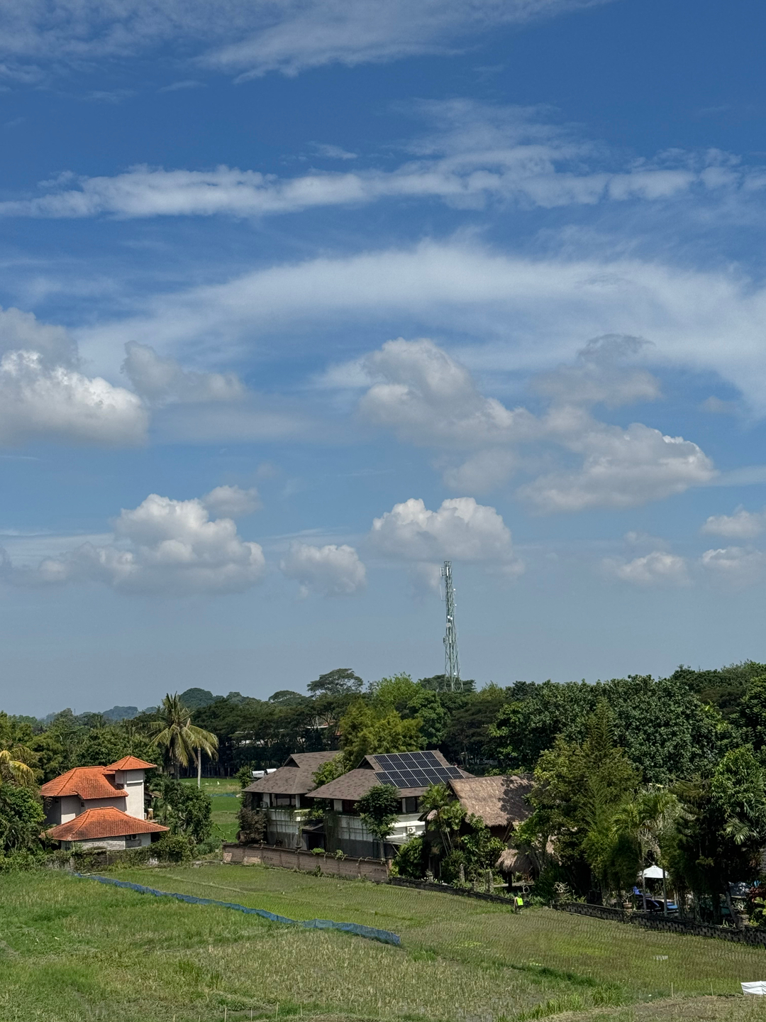 userImage-3