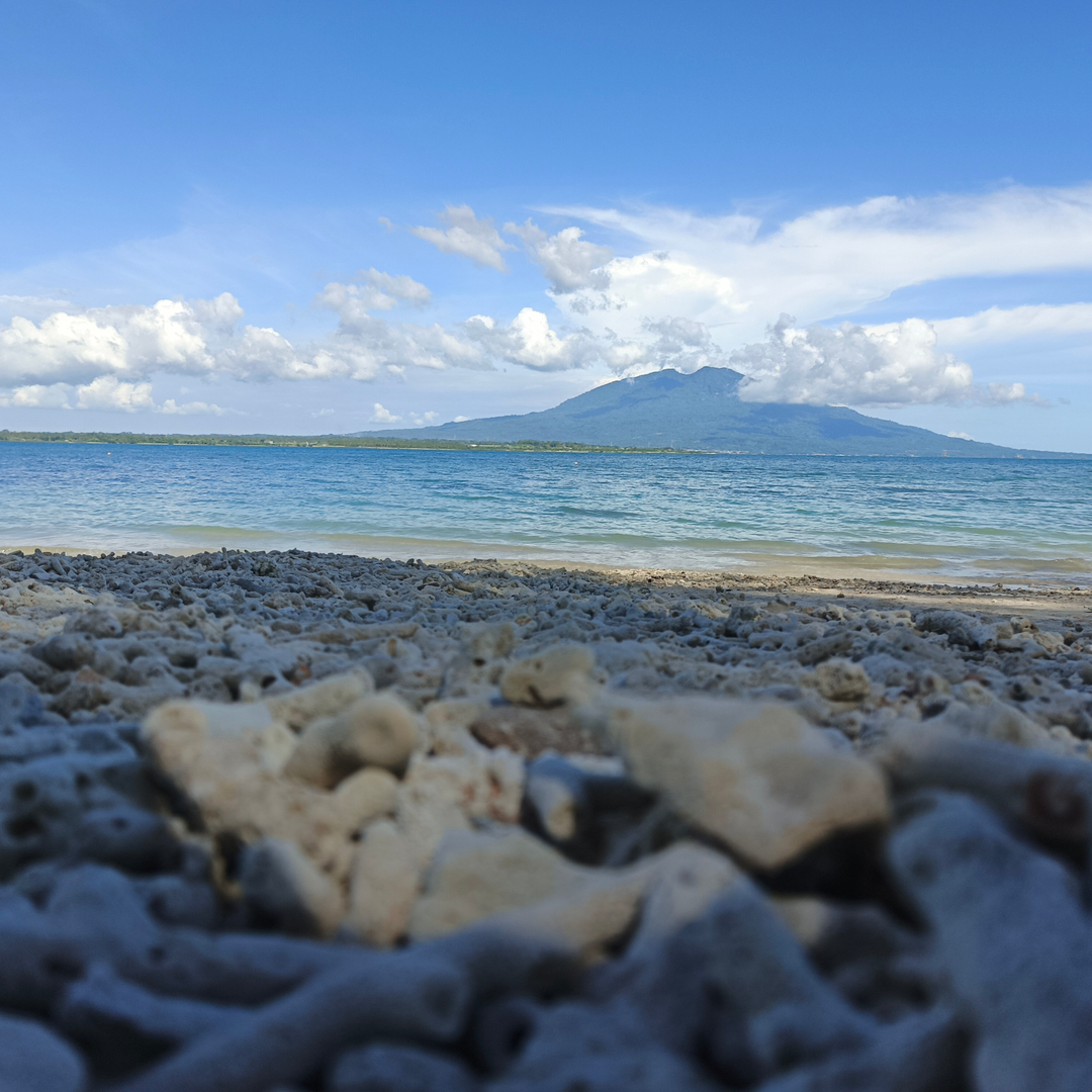 userImage-16