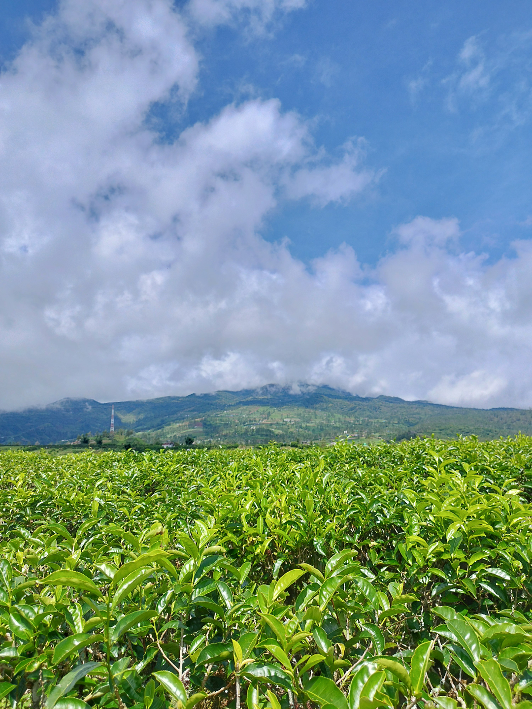 userImage-2