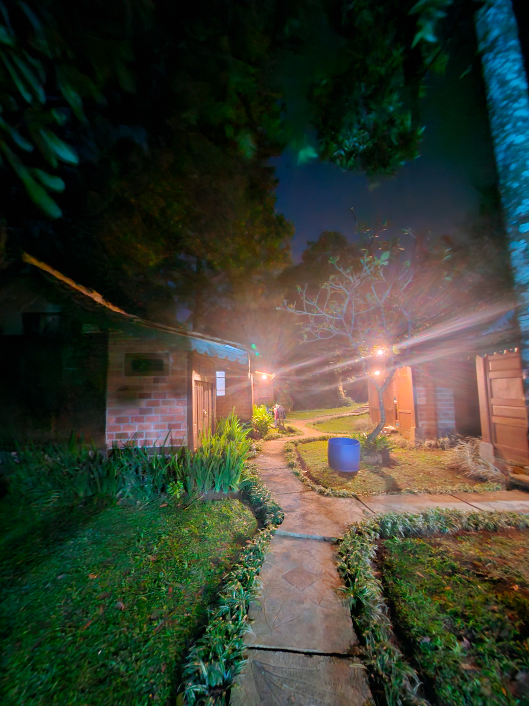 userImage-17