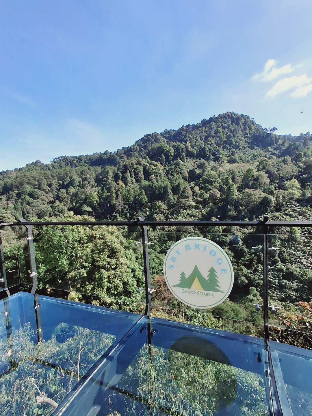 userImage-7
