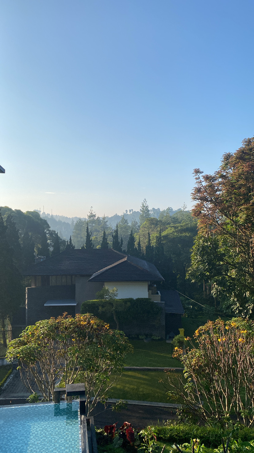userImage-4
