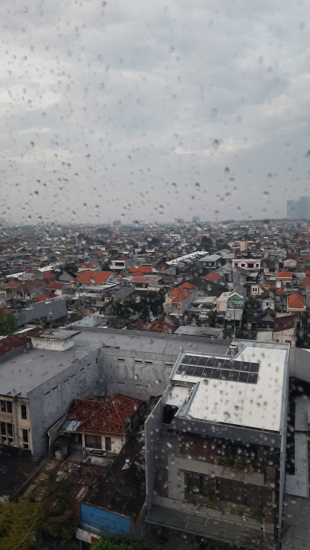 userImage-17