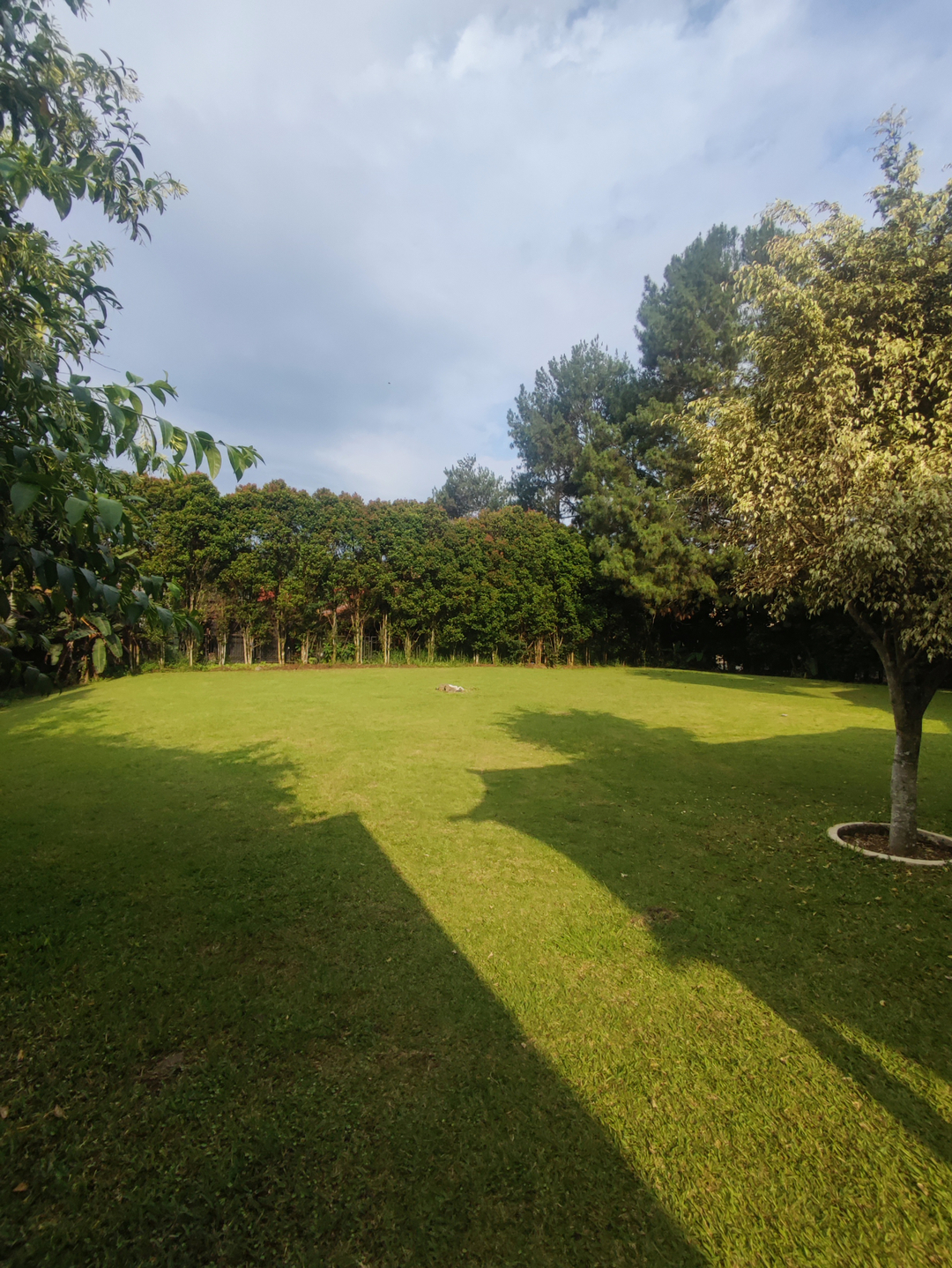 userImage-3