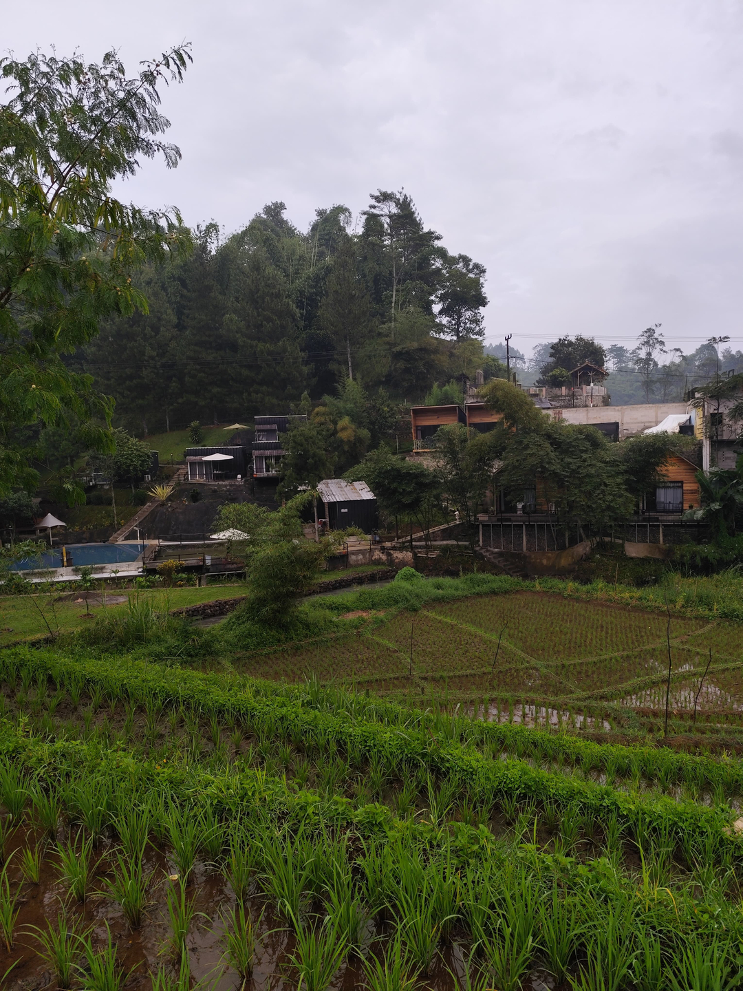 userImage-7