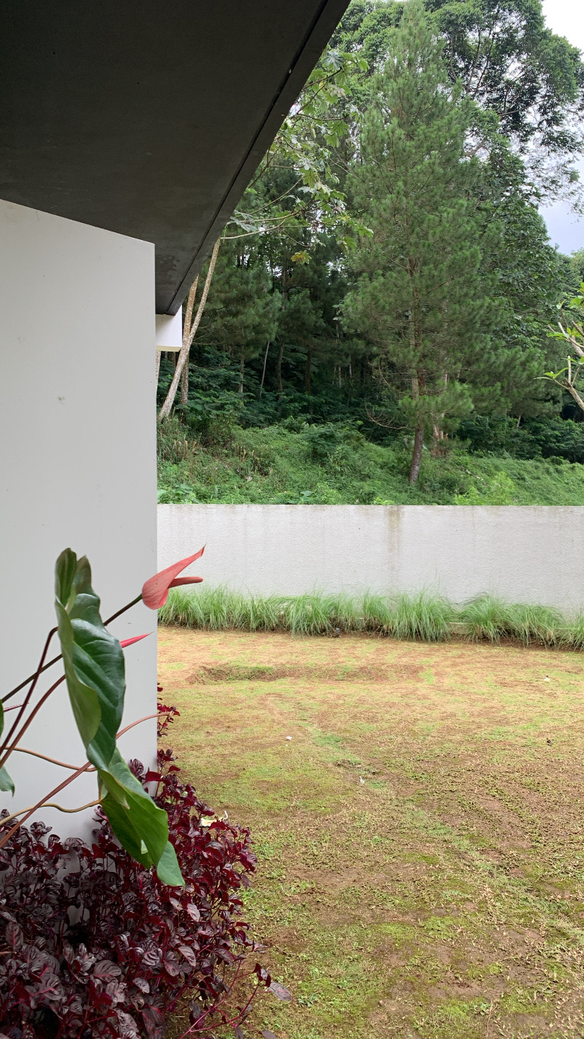 userImage-5