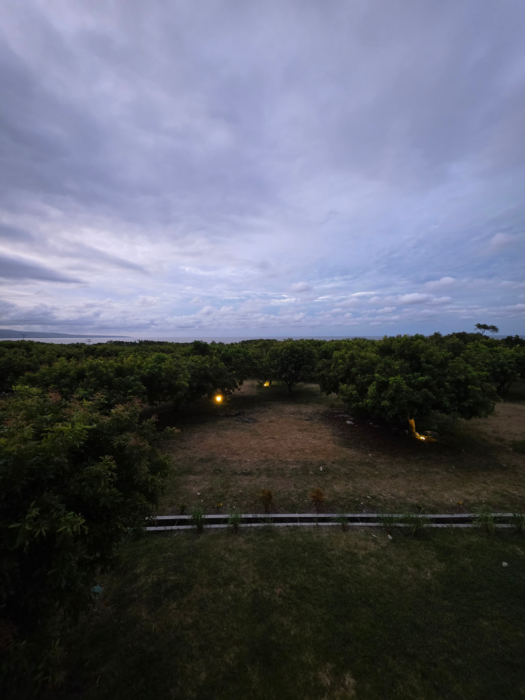 userImage-0