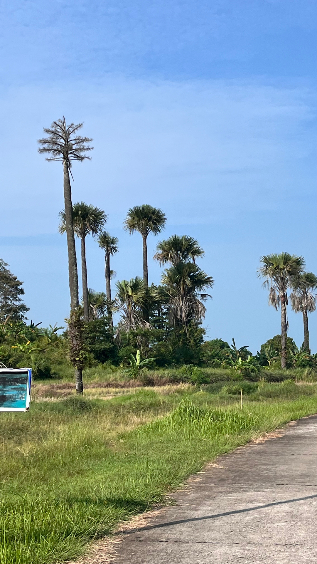 userImage-2
