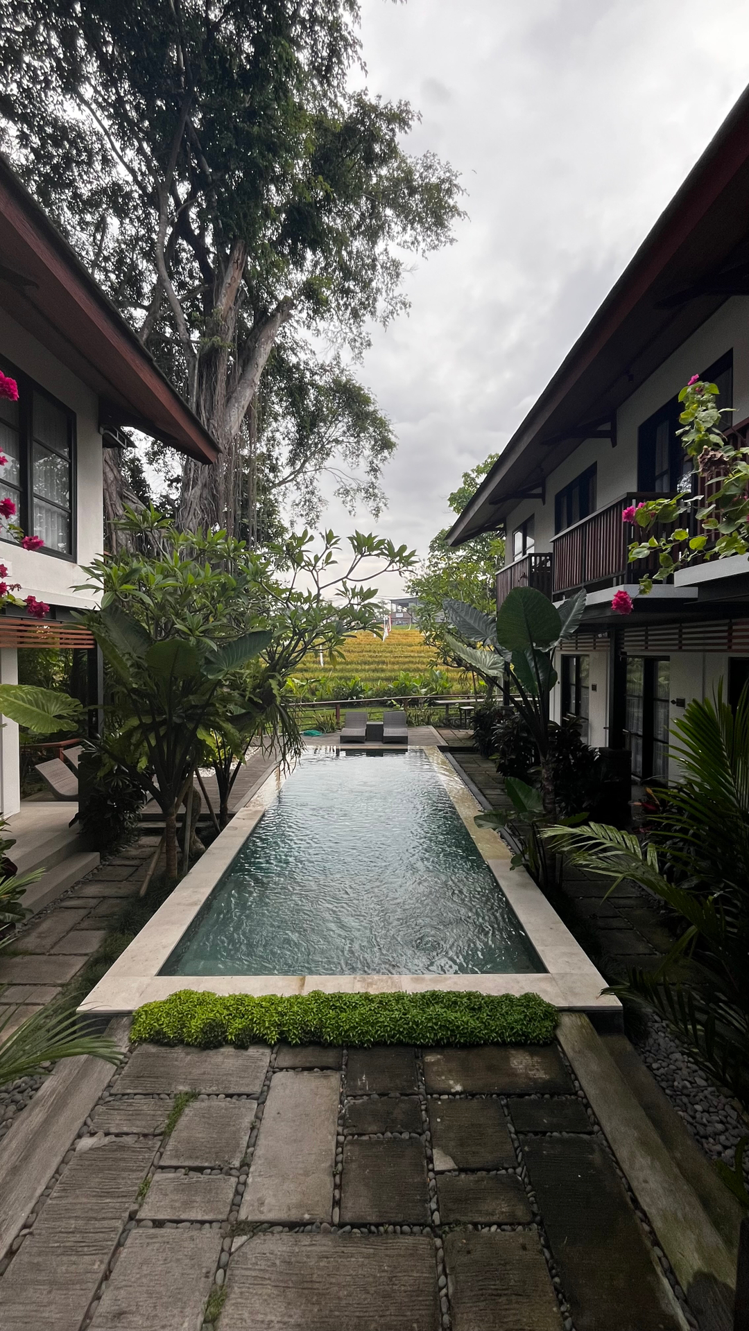 userImage-11