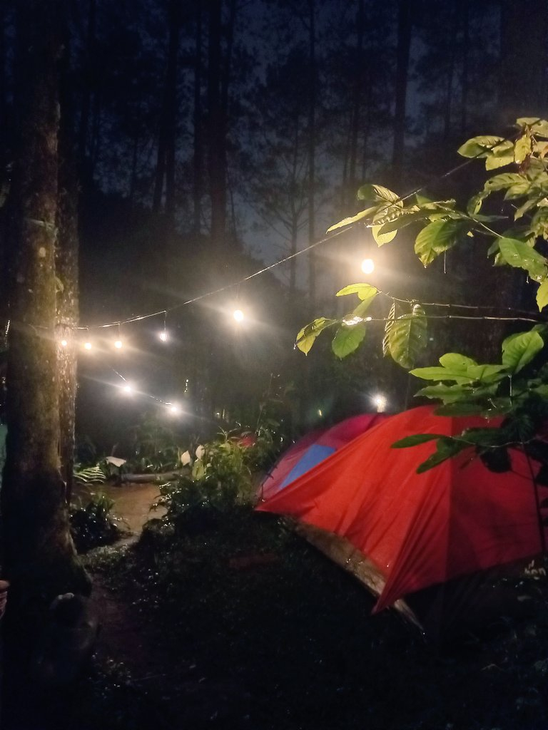 userImage-4