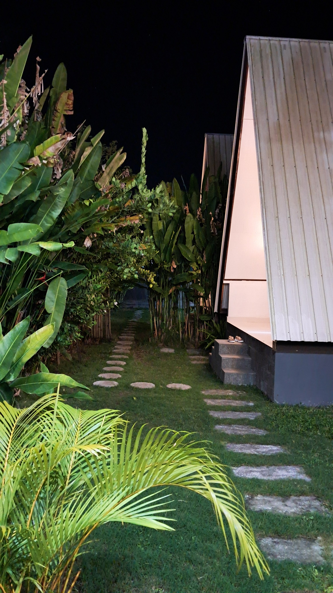 userImage-19