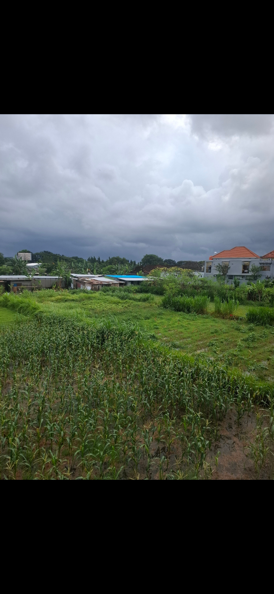 userImage-9