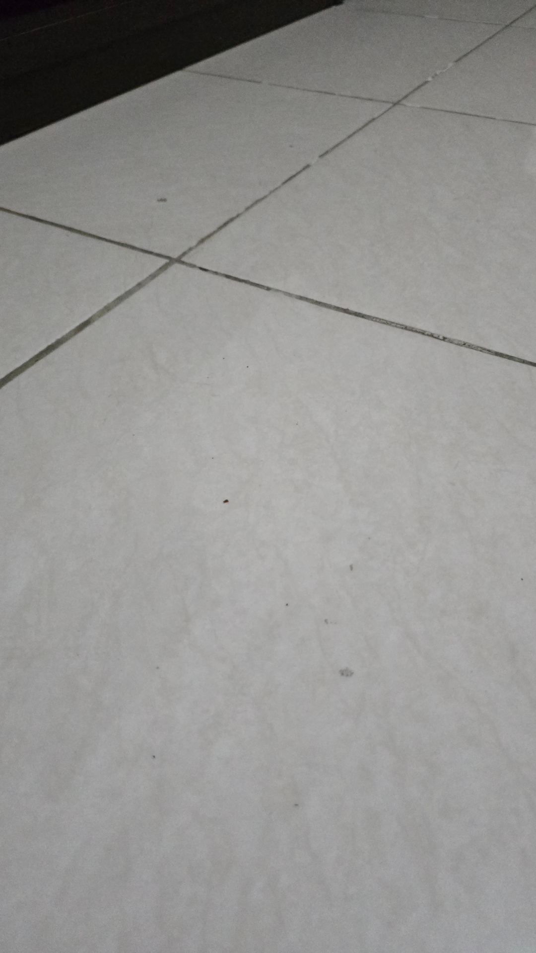 userImage-8
