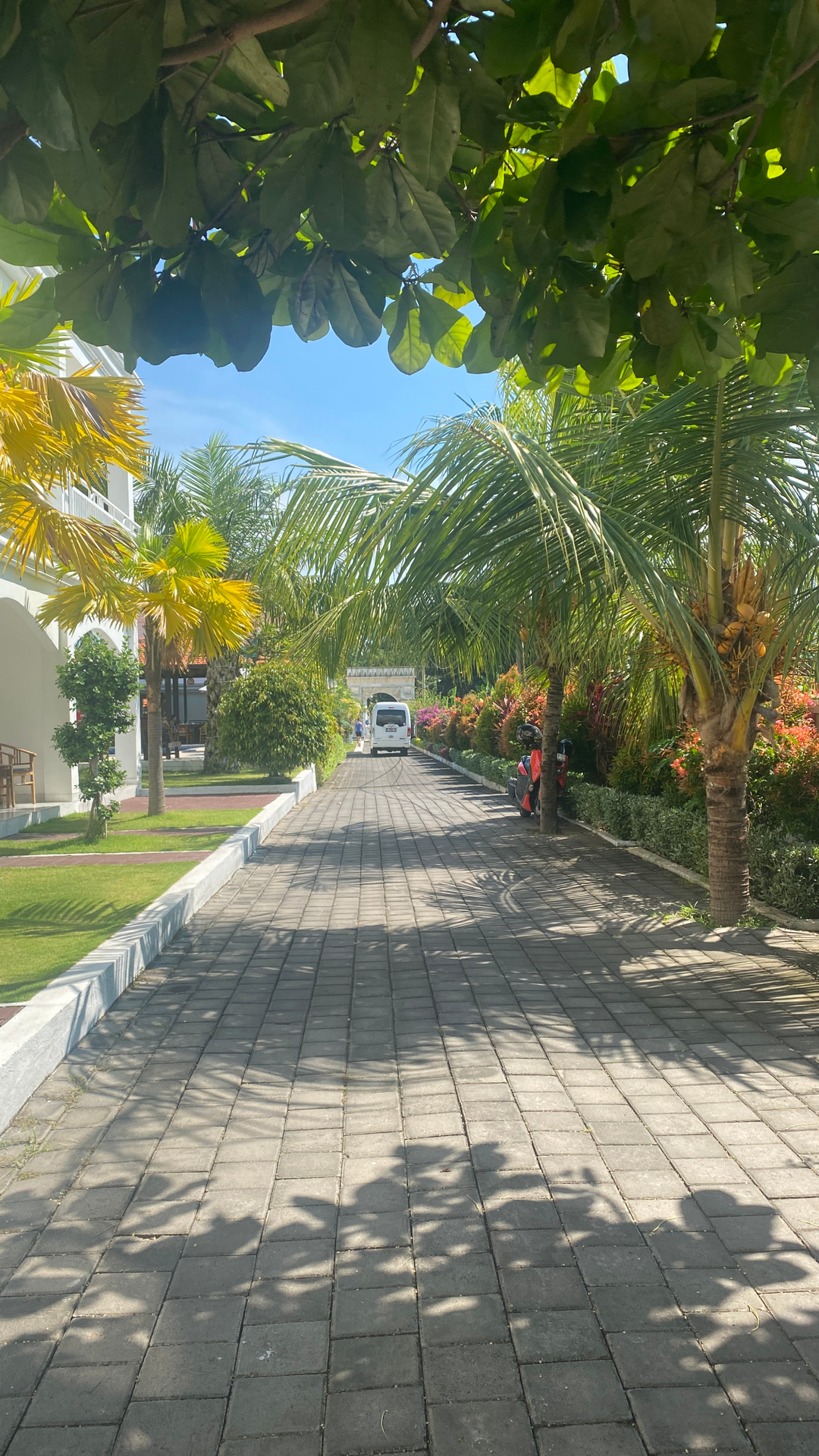 userImage-5