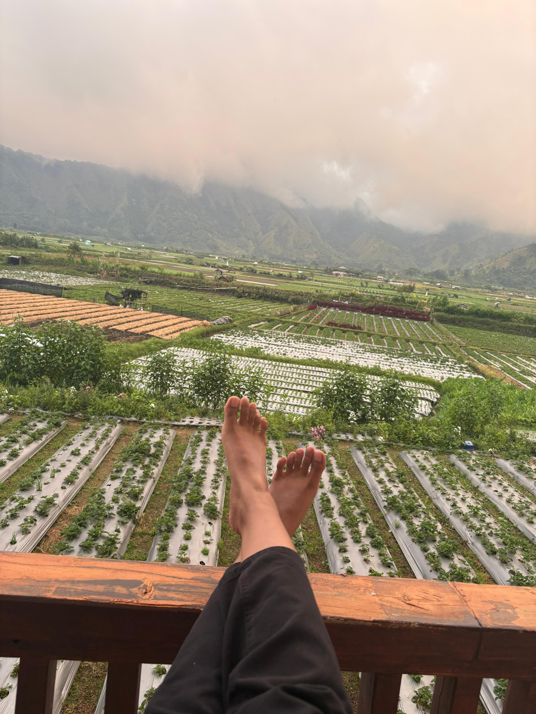 userImage-1