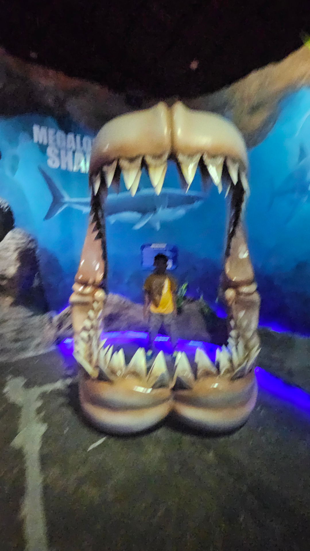 userImage-4