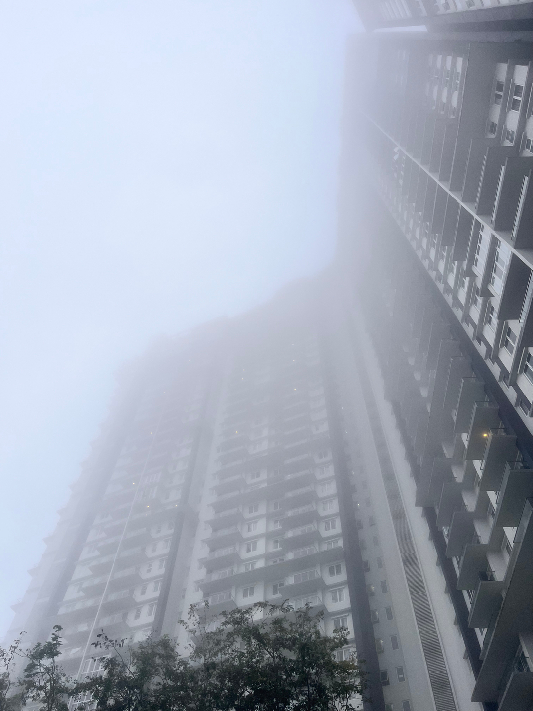 userImage-15
