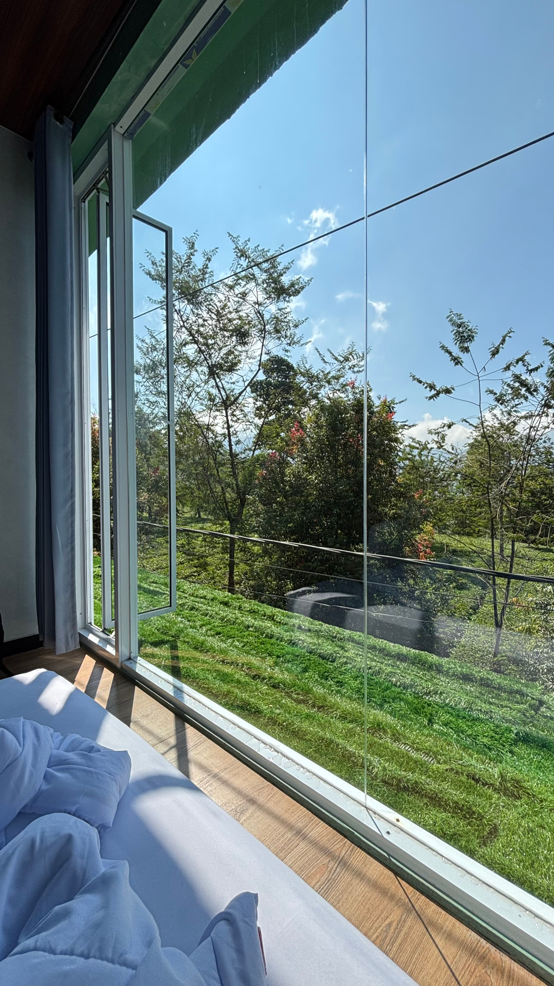 userImage-8