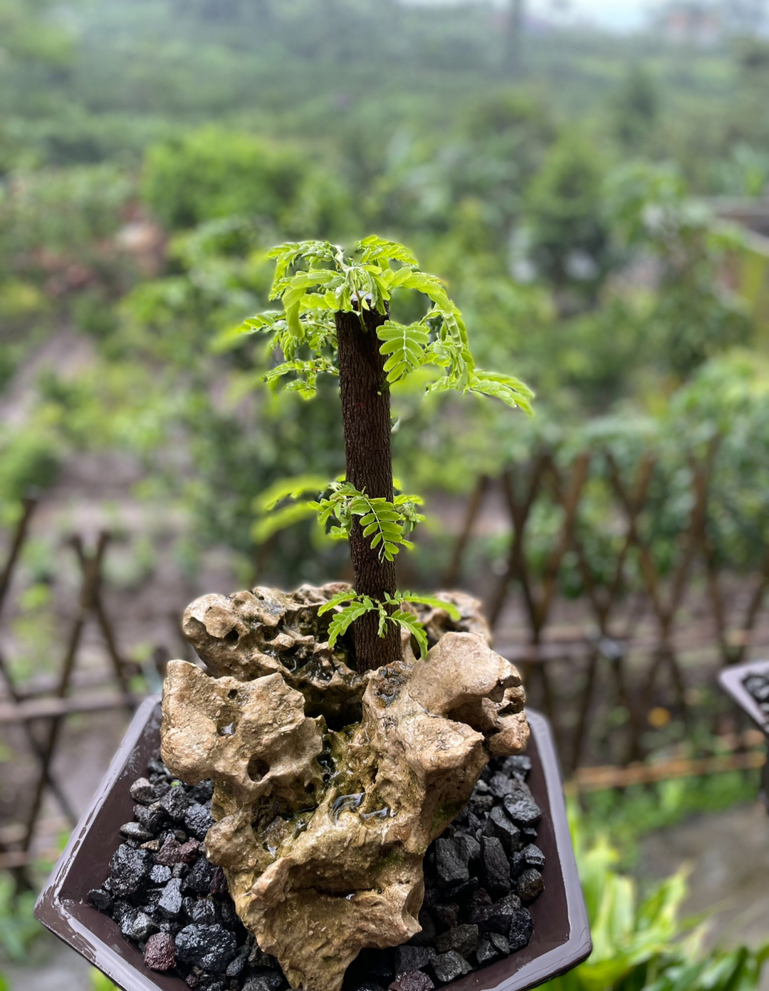 userImage-13