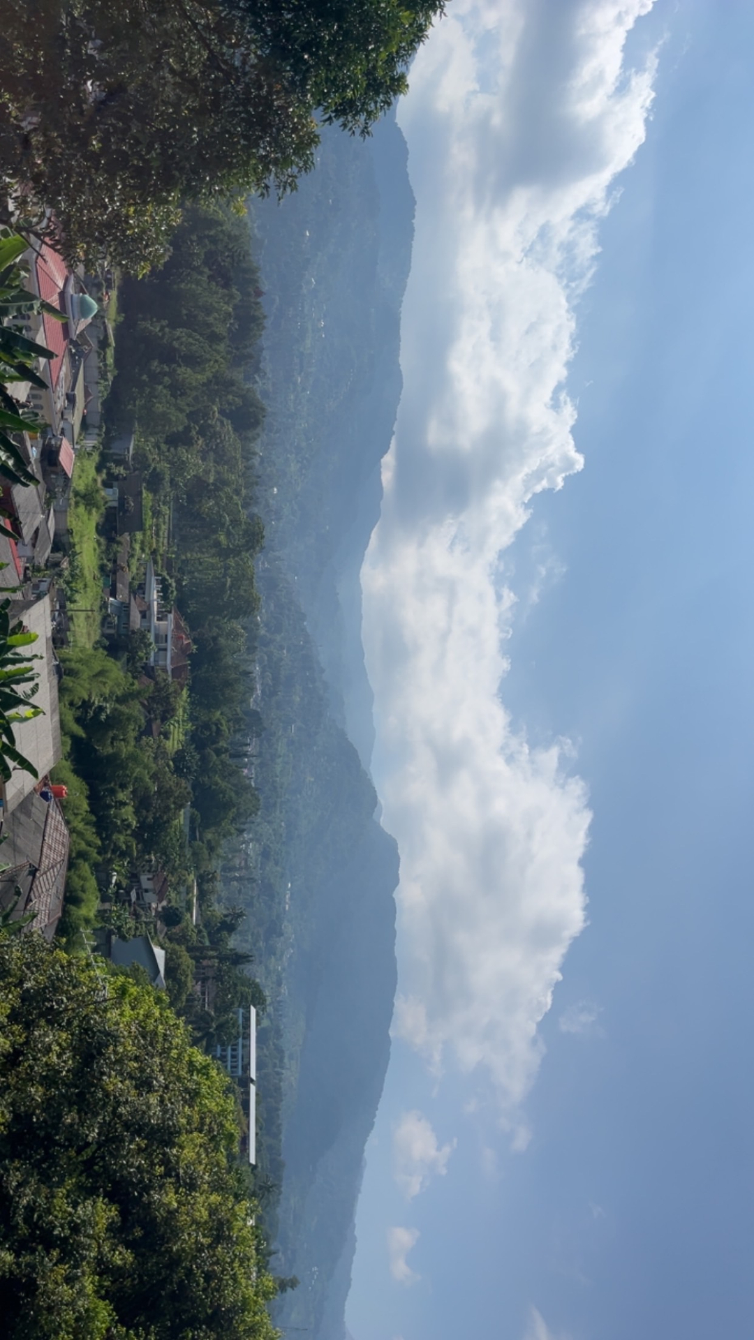 userImage-1