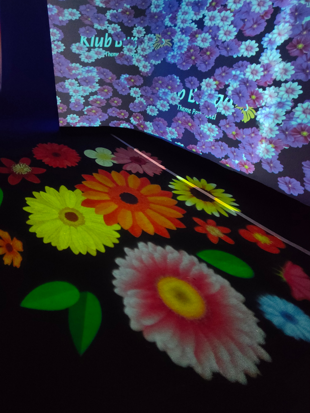 userImage-13