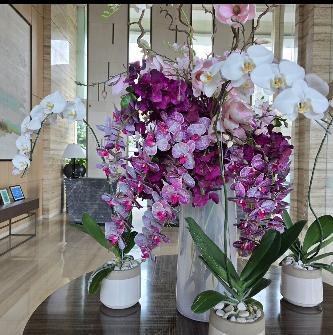 userImage-11