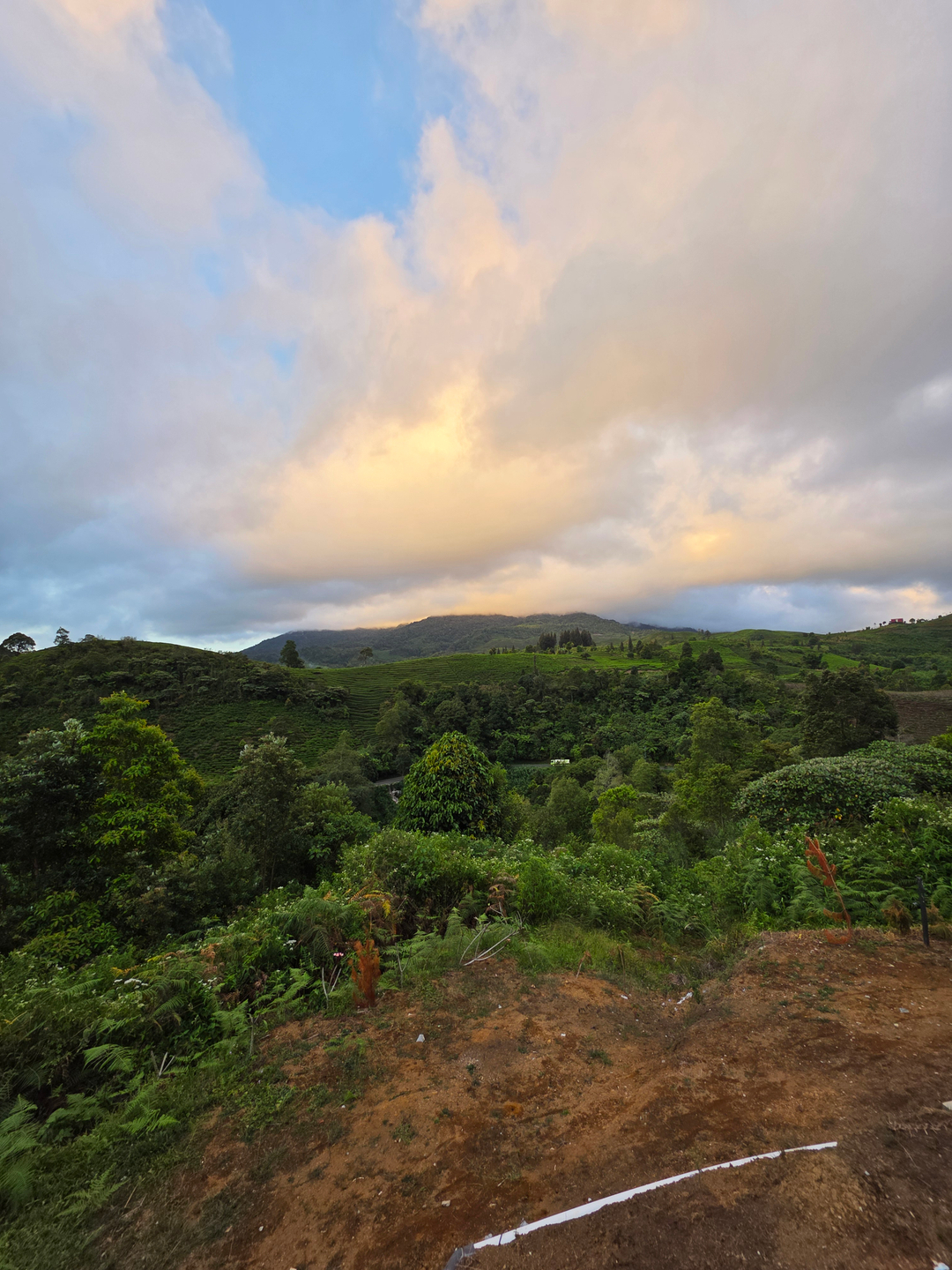userImage-7