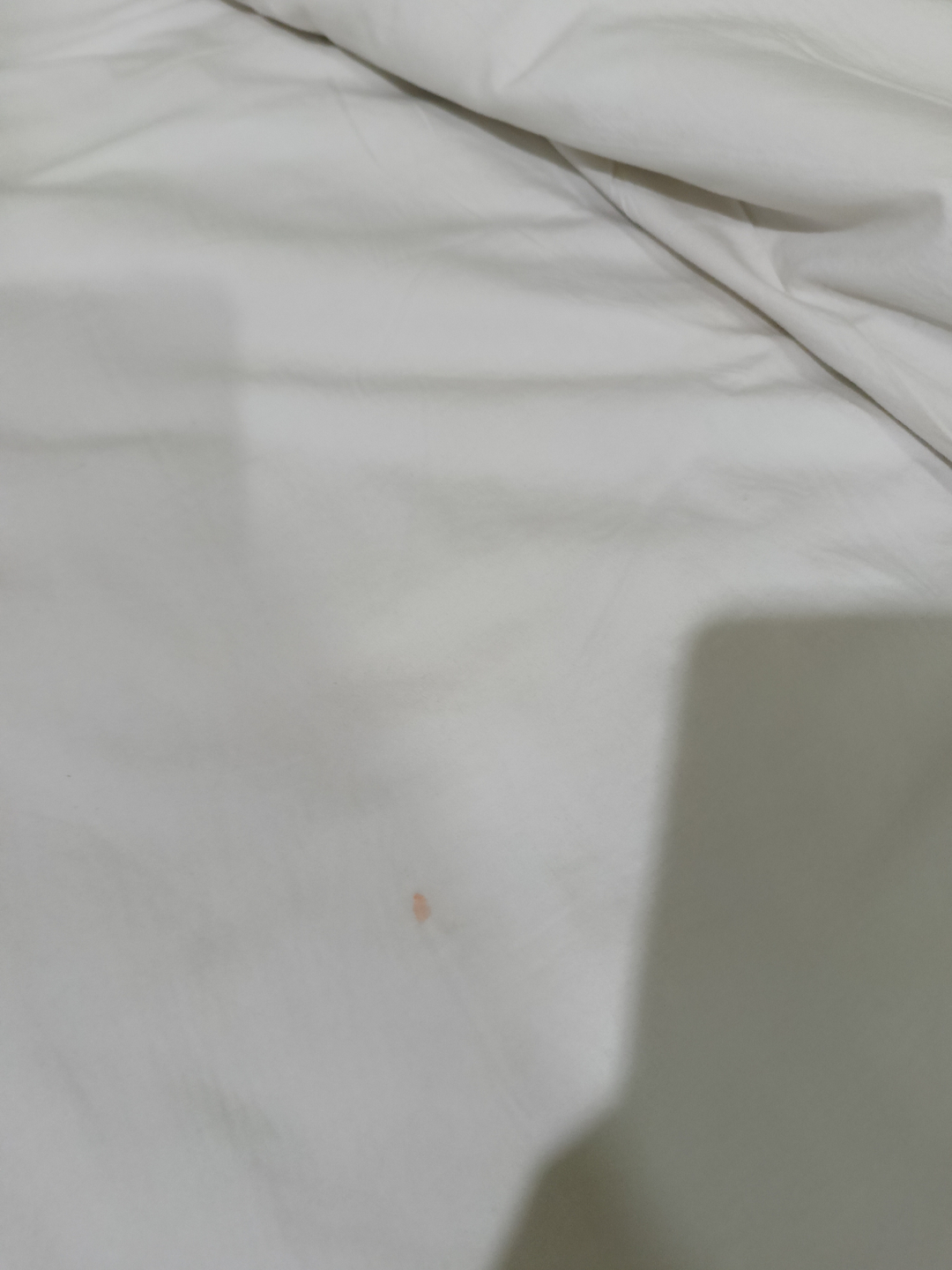 userImage-7
