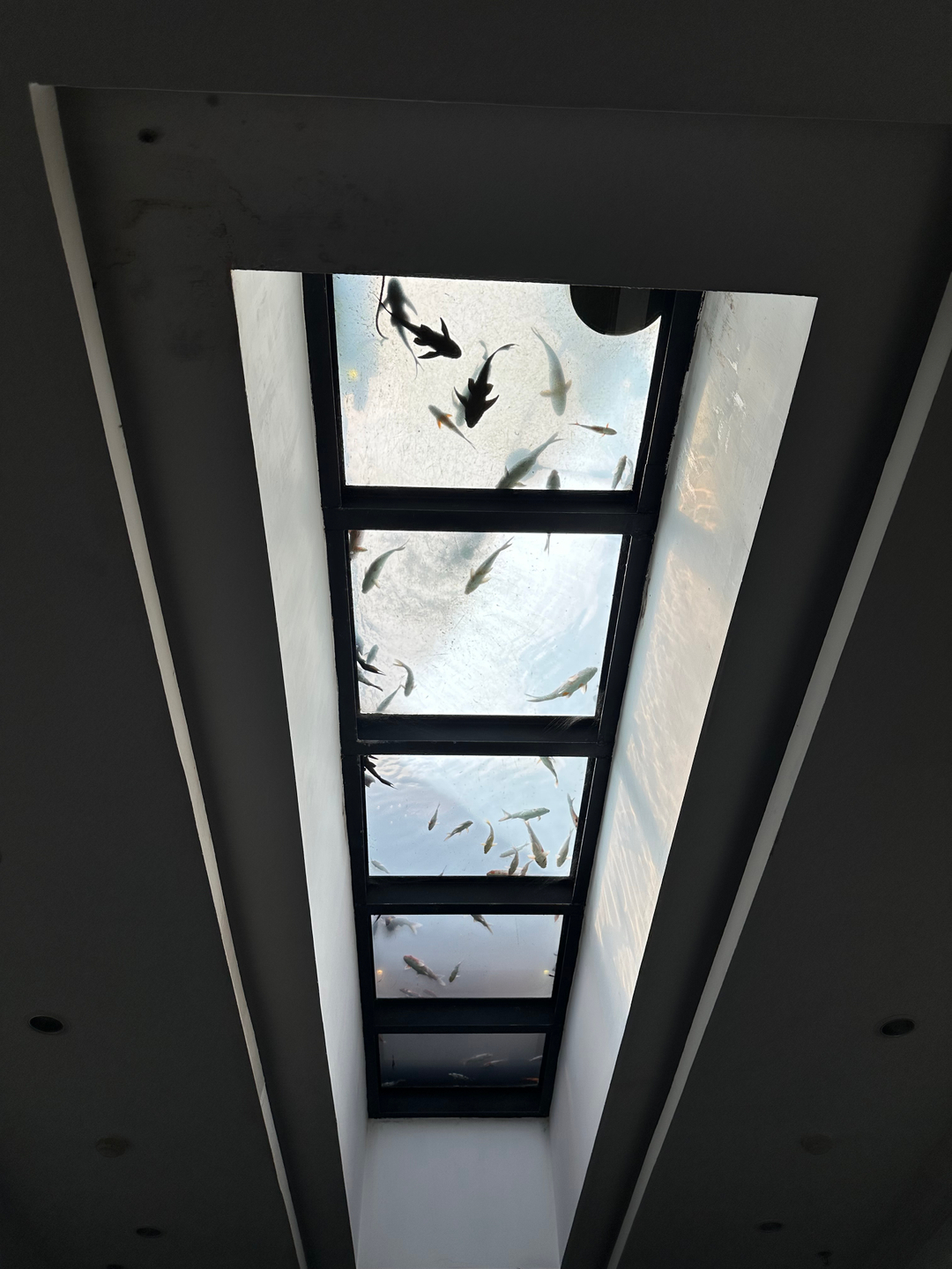userImage-9